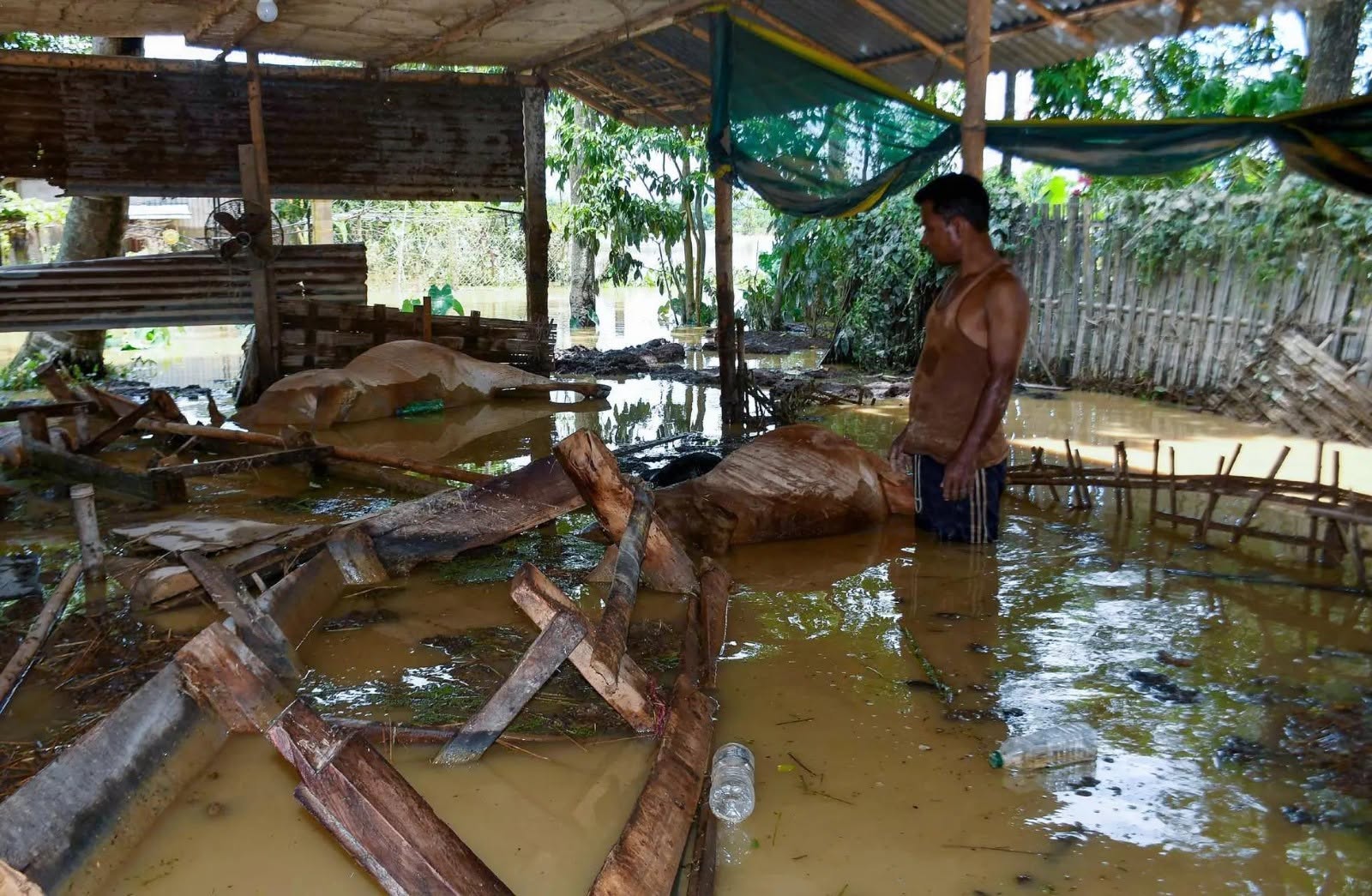 Current Assam flood situation image 3