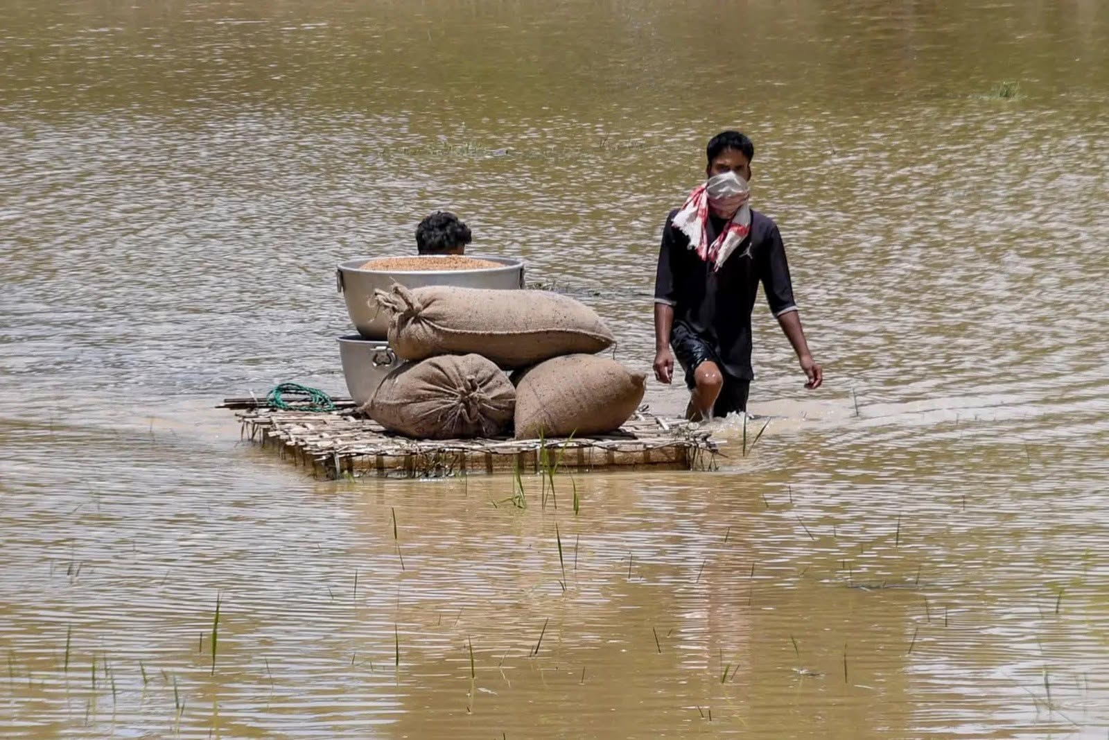 Current Assam flood situation image 1