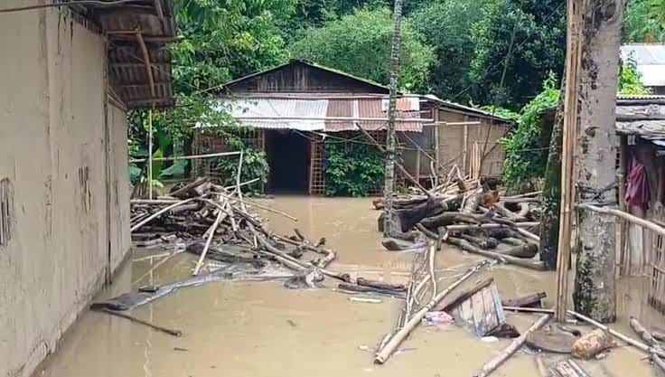 Current Assam flood situation image 7