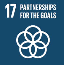 Sustainable Development Goal 17